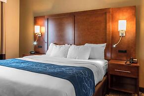 Comfort Suites Scranton near Montage Mountain