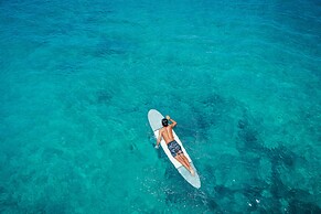 Lotus Honolulu at Diamond Head