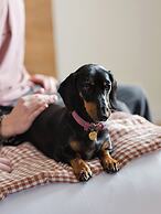 ALFRED HOTELS Compiègne