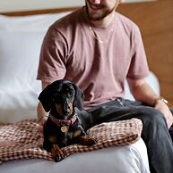 ALFRED HOTELS Compiègne