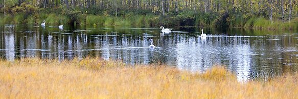 Holiday Club Kuusamon Tropiikki