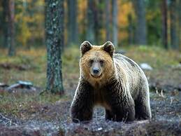 Holiday Club Kuusamon Tropiikki