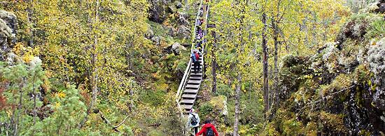 Holiday Club Kuusamon Tropiikki