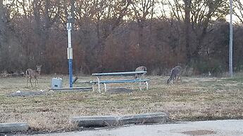 Burr Oak Motel