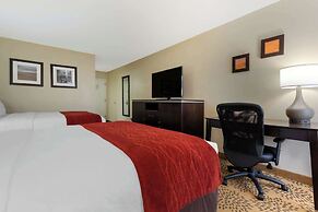 Comfort Inn North of Asheville