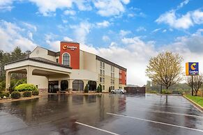 Comfort Inn North of Asheville