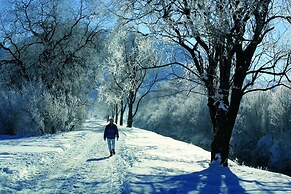 Zum Turm  -  Apartments und Gästezimmer