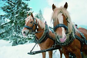 Zum Turm  -  Apartments und Gästezimmer