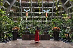 The Grand Oasis Cancun - All Inclusive