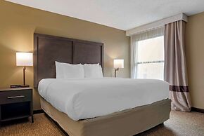Comfort Inn Opelika - Auburn