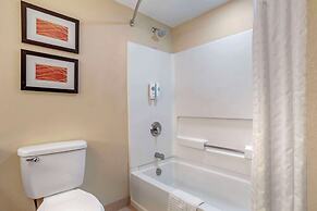 Comfort Inn Opelika - Auburn