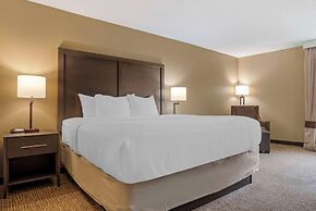 Comfort Inn Opelika - Auburn