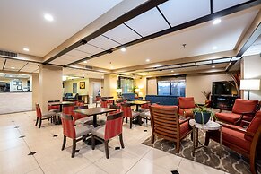 Comfort Inn Opelika - Auburn