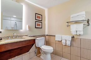 Comfort Inn Opelika - Auburn