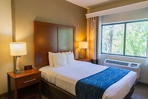 Comfort Inn North - Air Force Academy Area