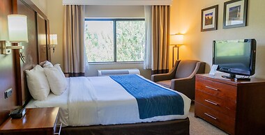 Comfort Inn North - Air Force Academy Area