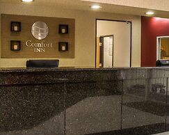 Comfort Inn Birch Run - Frankenmuth
