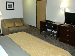 Comfort Inn Birch Run - Frankenmuth