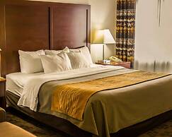Comfort Inn Birch Run - Frankenmuth