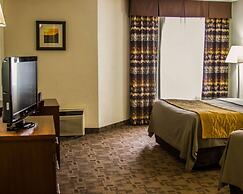 Comfort Inn Birch Run - Frankenmuth