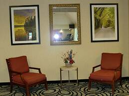 Comfort Inn Birch Run - Frankenmuth