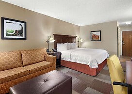 Hampton Inn Dallas-Irving-Las Colinas