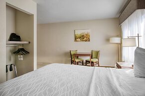 Best Western North Phoenix Hotel