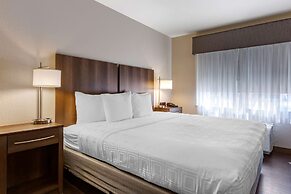 Best Western North Phoenix Hotel