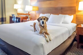 Comfort Inn & Suites Durango