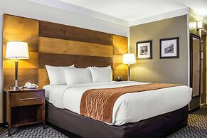 Comfort Inn & Suites Durango