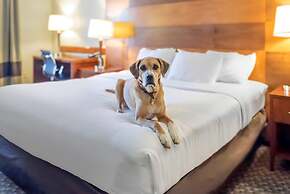 Comfort Inn & Suites Durango