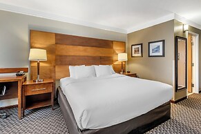 Comfort Inn & Suites Durango