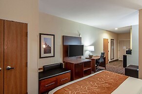 Comfort Suites NW Dallas Near Love Field