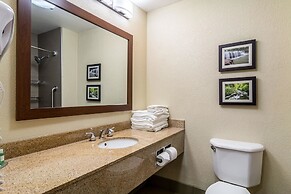 Comfort Inn & Suites - Hannibal