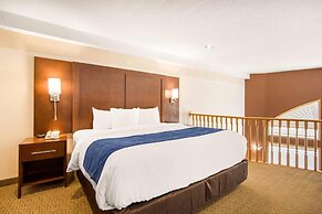 Comfort Inn & Suites Medicine Hat