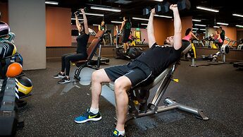 The Address Connolly