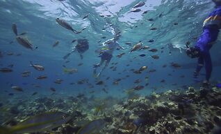 Curtain Bluff Resort - All Inclusive