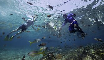 Curtain Bluff Resort - All Inclusive