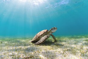 Lizard Island Resort