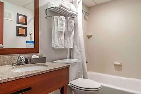Comfort Inn University
