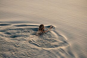 Minos Palace Resort - Adults Only