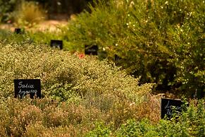 Minos Palace Resort - Adults Only