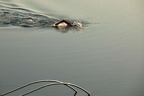 Minos Palace Resort - Adults Only