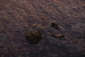 Minos Palace Resort - Adults Only