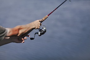 Adonis Hotel & Apartments