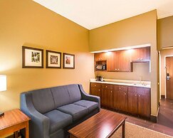 Comfort Suites Cookeville