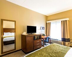 Comfort Suites Cookeville