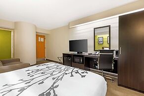 Sleep Inn at Greenville Convention Cente