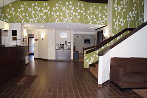 Sleep Inn at Greenville Convention Cente