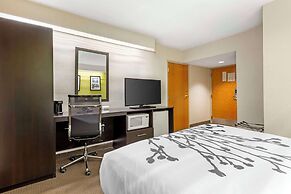 Sleep Inn at Greenville Convention Cente
